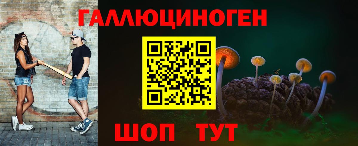 Краснокаменск  Псилоцибиновые грибы MAGIC MUSHROOMS  Вход с VPN  Псилоцибиновые грибы мицелий 